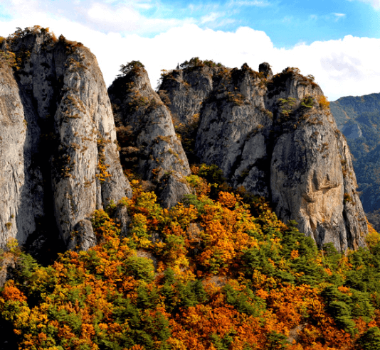 단풍여행 단풍트레킹 당일버스 여행