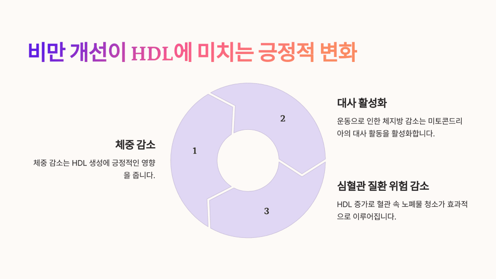 비만 개선이 HDL에도 끼치는 긍정적 변화