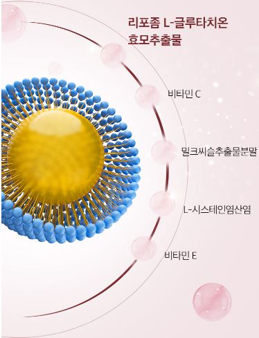 리포좀 글루타치온 제품추천