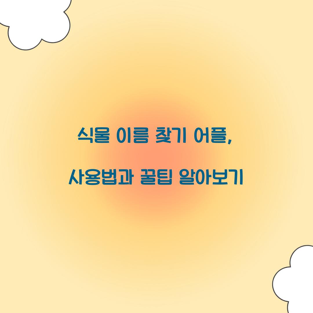 식물 이름 찾기 어플