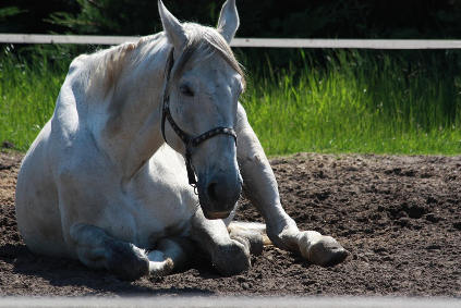 직업에서 ‘안정적이다’라는 말의 착각