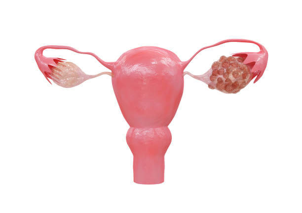 배란통 증상에는 여러가지 통증이 있는데 복부통증&#44; 설사&#44; 두통&#44; 체온까지 변화합니다. 원인과 증상 완화할 수 있는 방법까지 알아봤습니다. 하지만 배란통이 너무 심하다면 병원 진료를 꼭 받아야겠지요? 참고하시기 바랍니다.