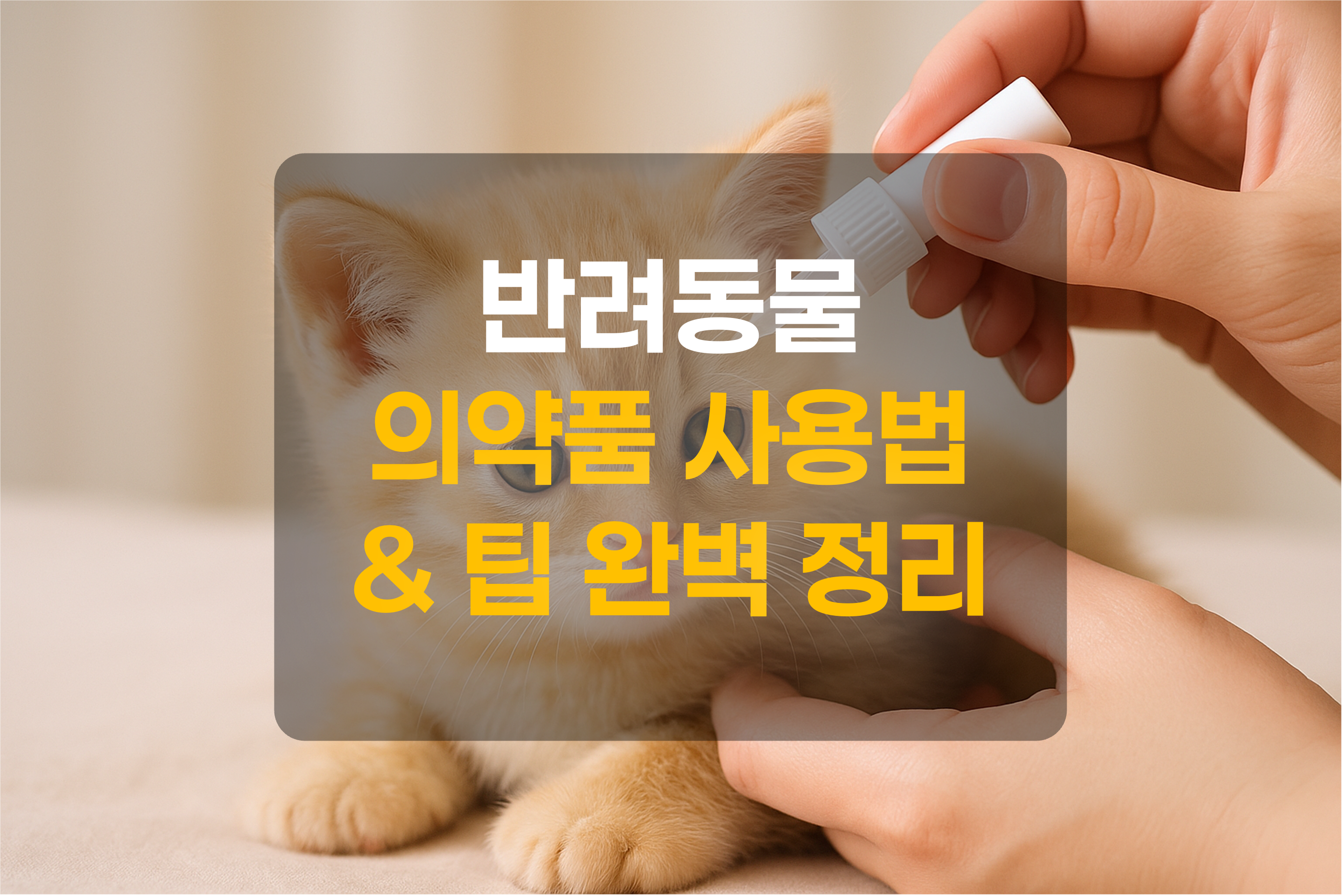 고양이에게 귀약을 투약하는 모습을 표현한 그림