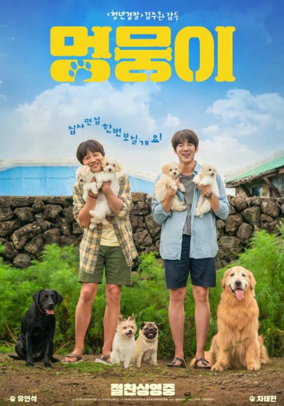 멍뭉이 관련 사진