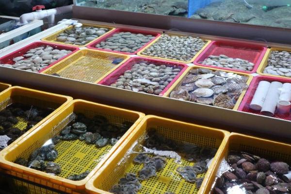 해산물 사진