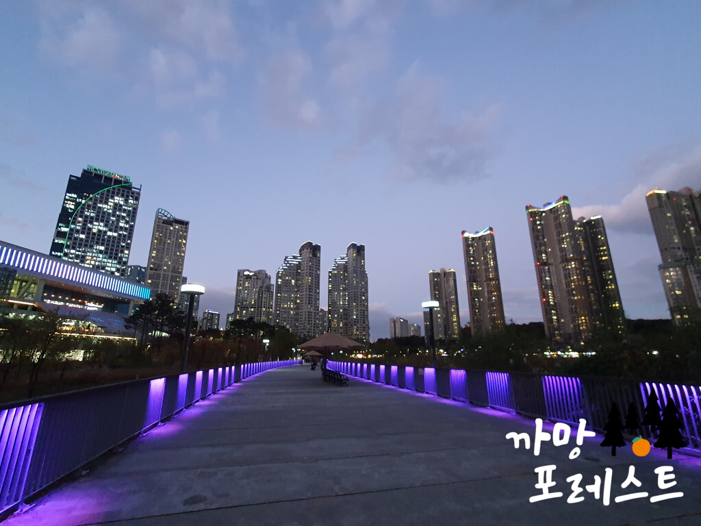 광교호수공원 야경