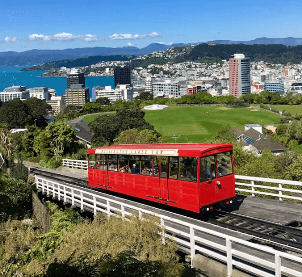 뉴질랜드 워킹홀리데이 완벽 가이드: 비자부터 정착까지