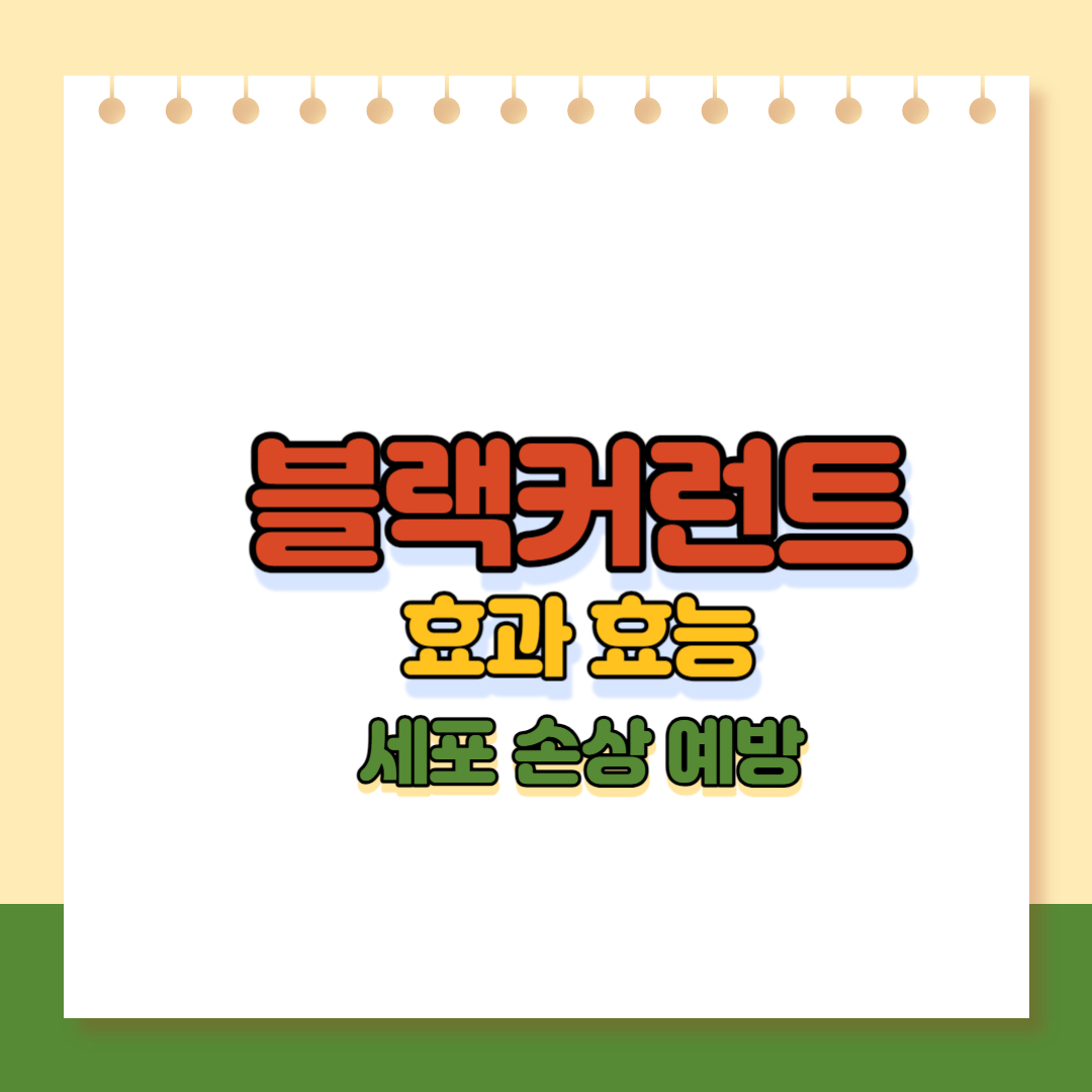 블랙커런트 효과효능 이미지