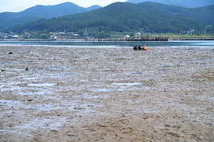 전도갯벌체험장