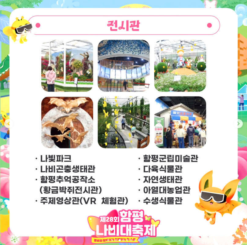 함평 나비축제