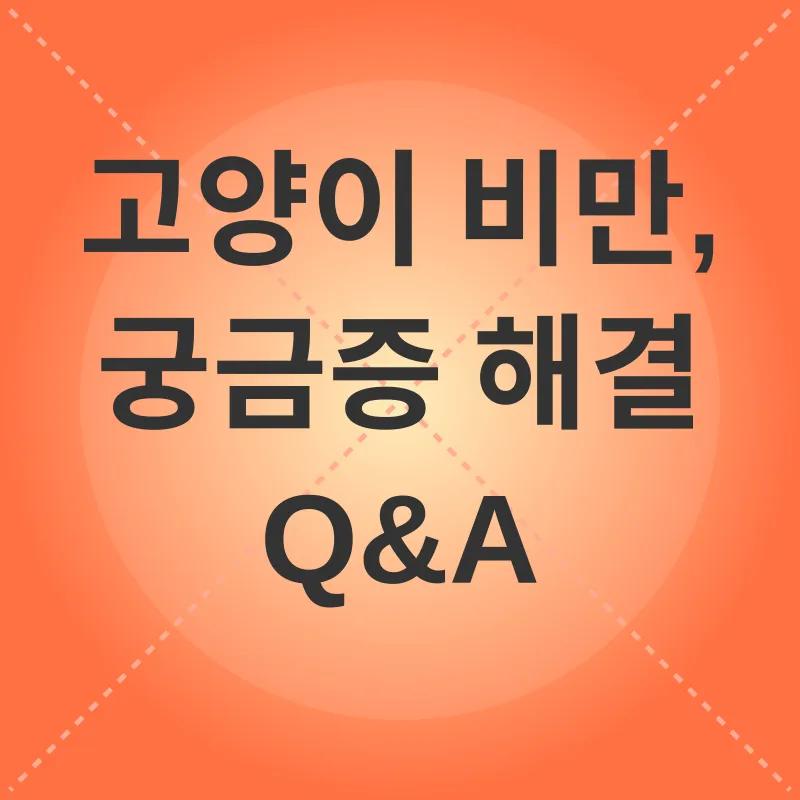 고양이 비만 관리_4