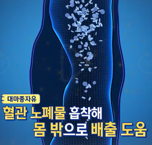 대마종자유 효능