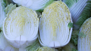 가격 비교, 괴산 절임배추 20kg 직거래로 최저가 예약 1