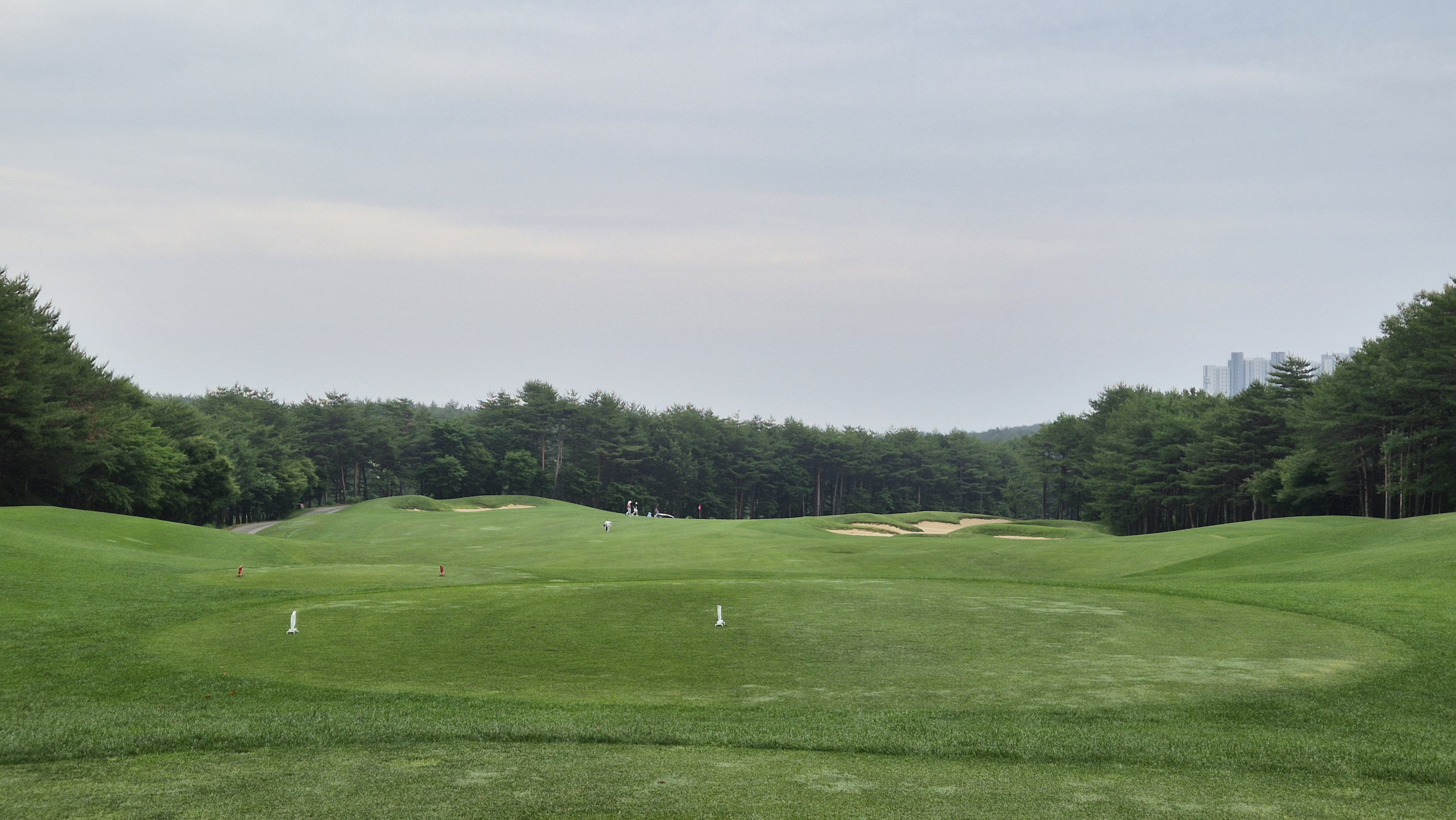 파인리즈cc 후기 및 코스사진