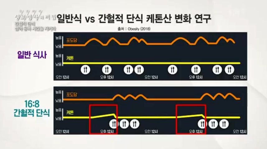 일반식 vs 간헐적 단식 케톤산 변화연구 캡처본/ 출처 - 생로병사의 비밀
