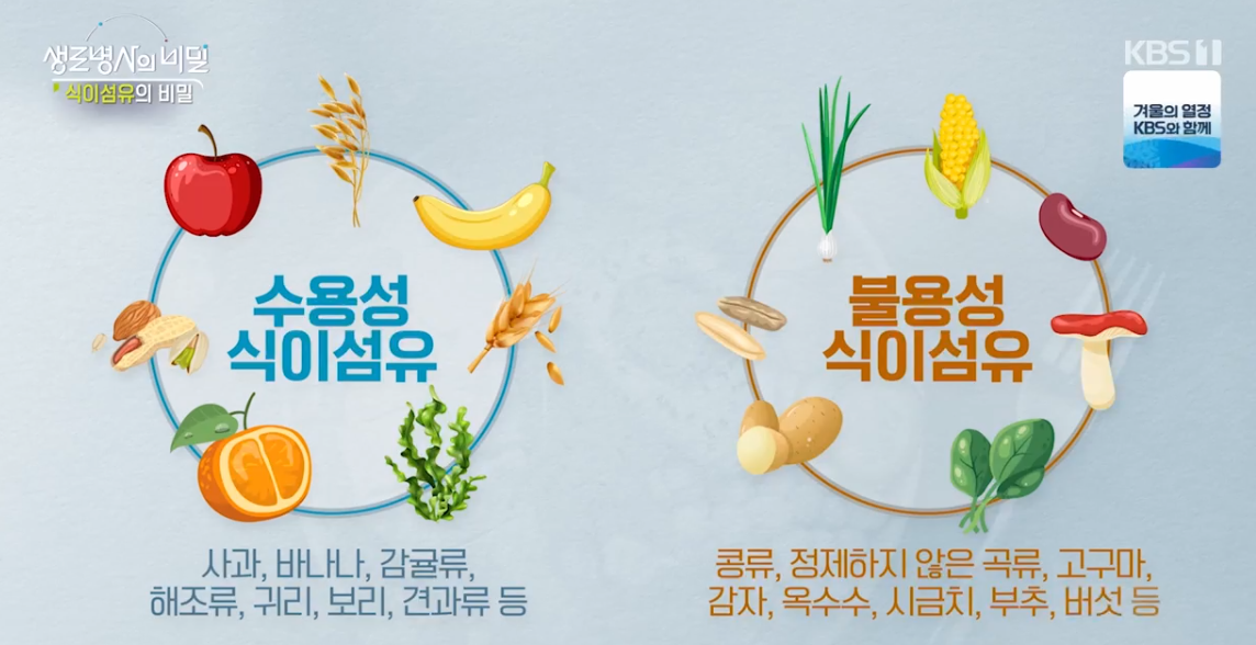 생로병사의 비밀 식이섬유