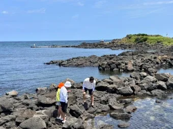 제주 여행 필수 코스 우도 배시간표 요금 예약 방법_16
