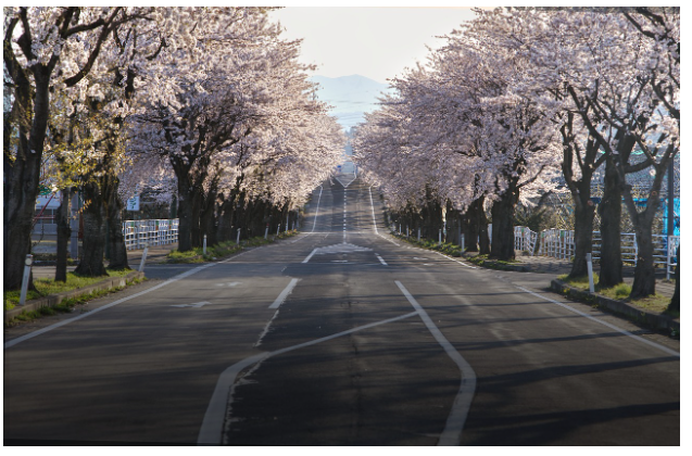 봄맞이 부산 여행 코스