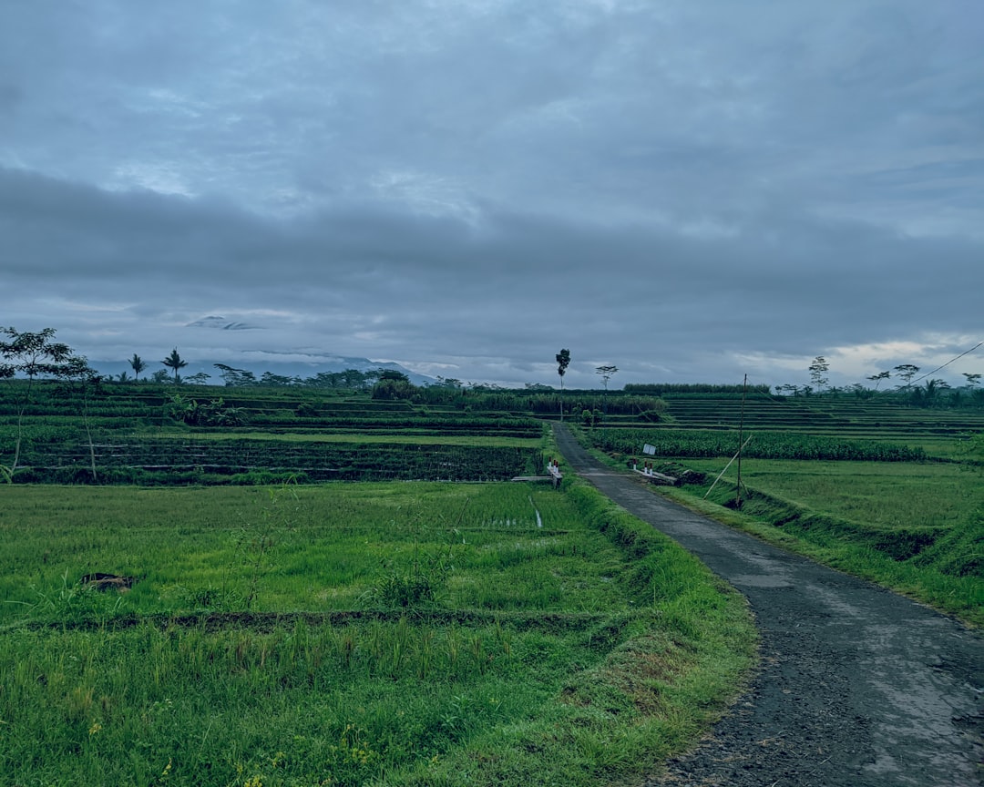 Land Registry