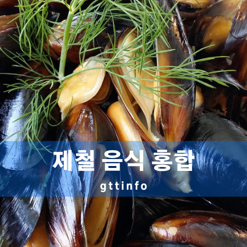 홍합의 효능