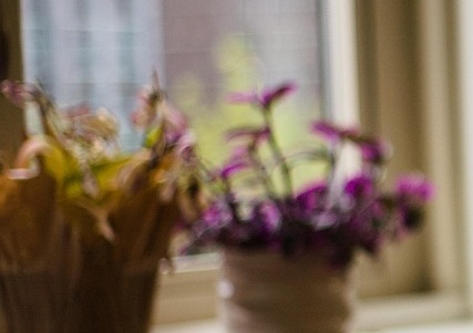 모의고사 성적표 조회