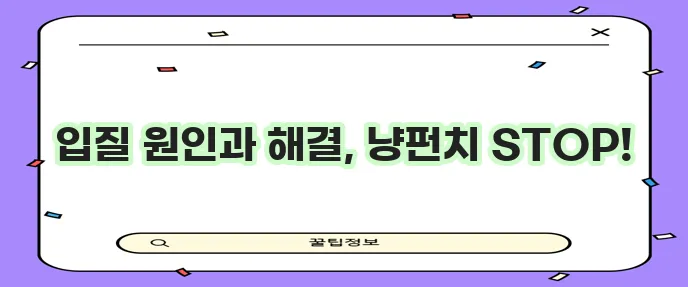 고양이 입질 원인과 효과적인 해결책, 반드시 알아야겠죠?