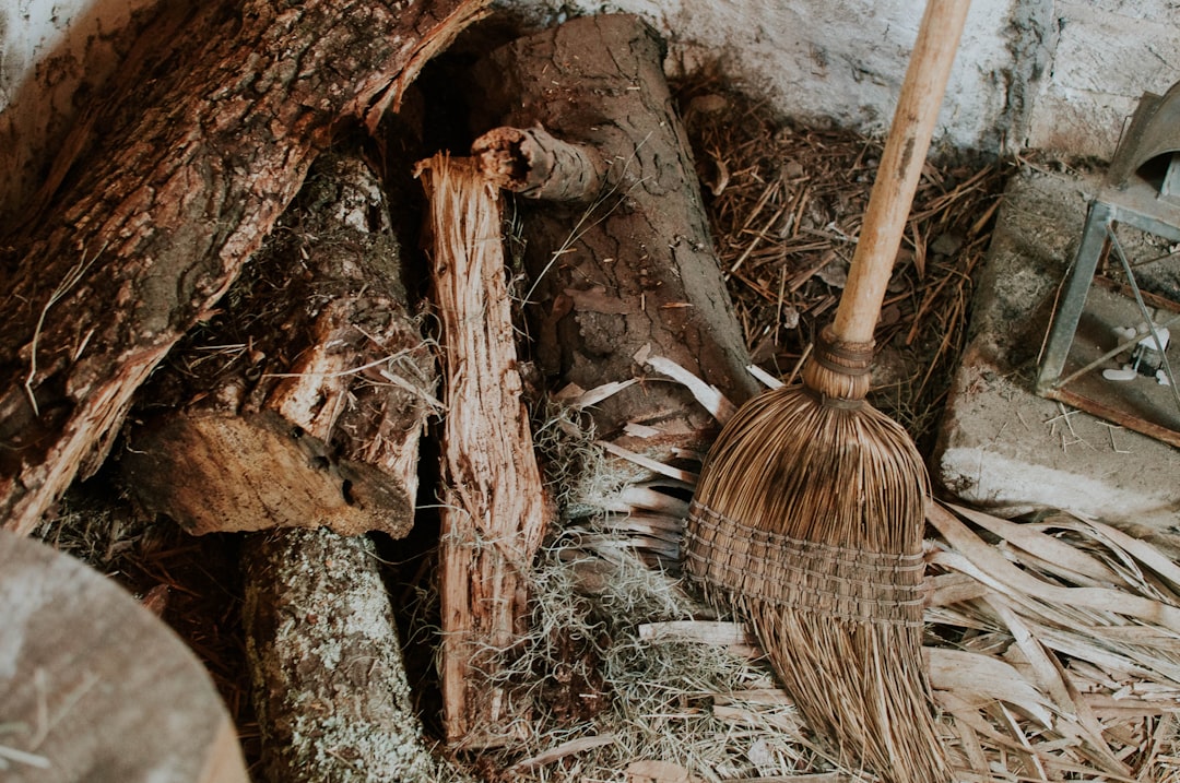 Broom