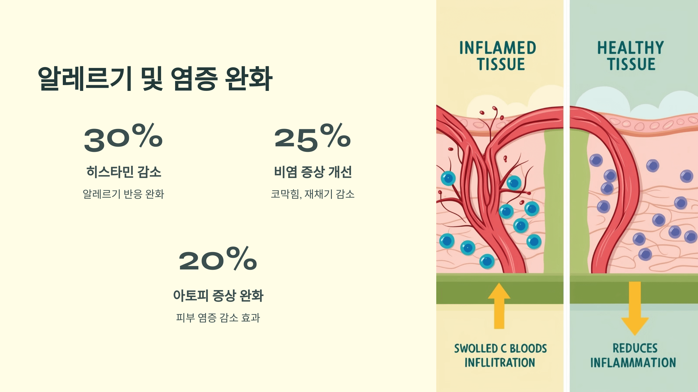 비타민C와 관련된 사진입니다.