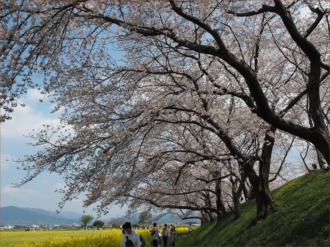 신한은행 정기예금 금리