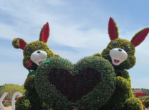 태안 튤립축제 기간