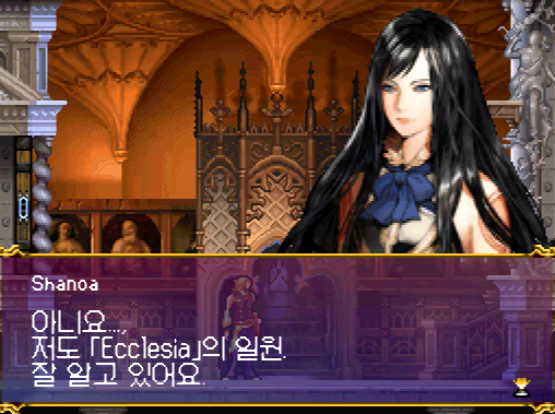 닌텐도 DS 정발판