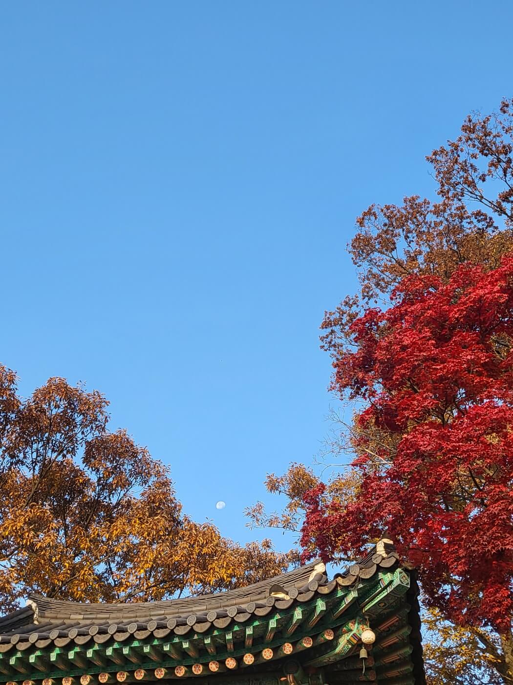 수종사