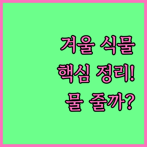 화분 위치부터 물 주기까지 겨울철 식..