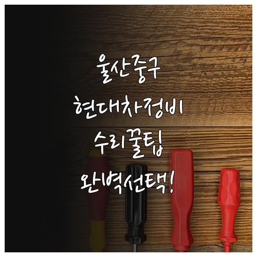 울산 중구 현대자동차 사고 수리 및 ..