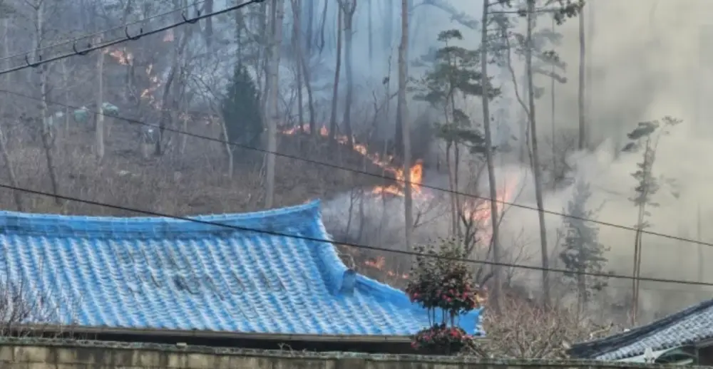 산불피해현장1