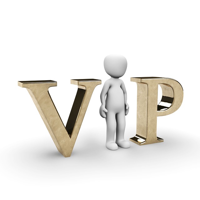VIP 마케팅 전략