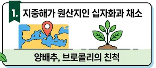 케일 효능