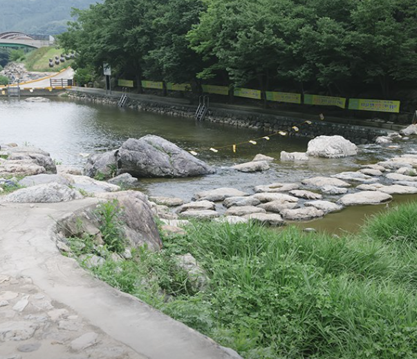 장령산 계곡