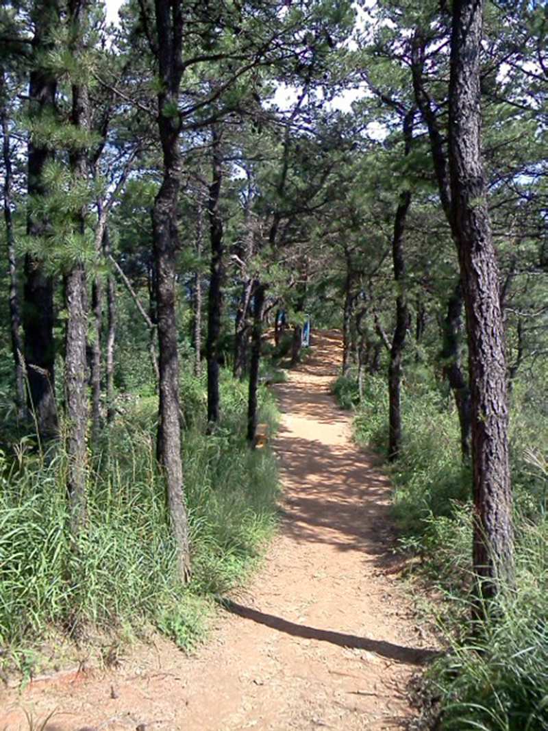 홍제동·홍은동·녹번동·연희동의 백련산(白蓮山, Baengnyeonsan)