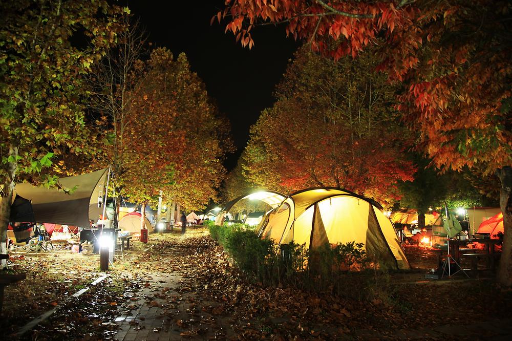 상의자동차야영장. 경상북도 청송군 주왕산면 상의리 368