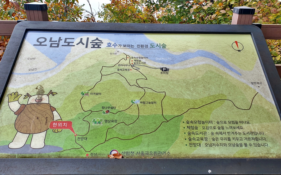 제20회 광릉숲축제 2025 완전 가이드 - 1년에 단 한 번 열리는 신비의 유네스코 숲