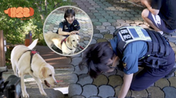 드라마 개소리 비하인트 컷