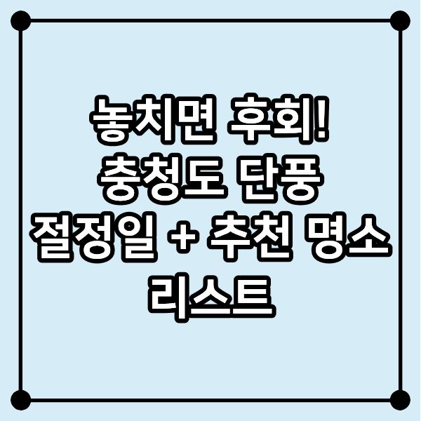 놓치면 후회! 충청도 단풍 절정일 + 추천 명소 리스트
