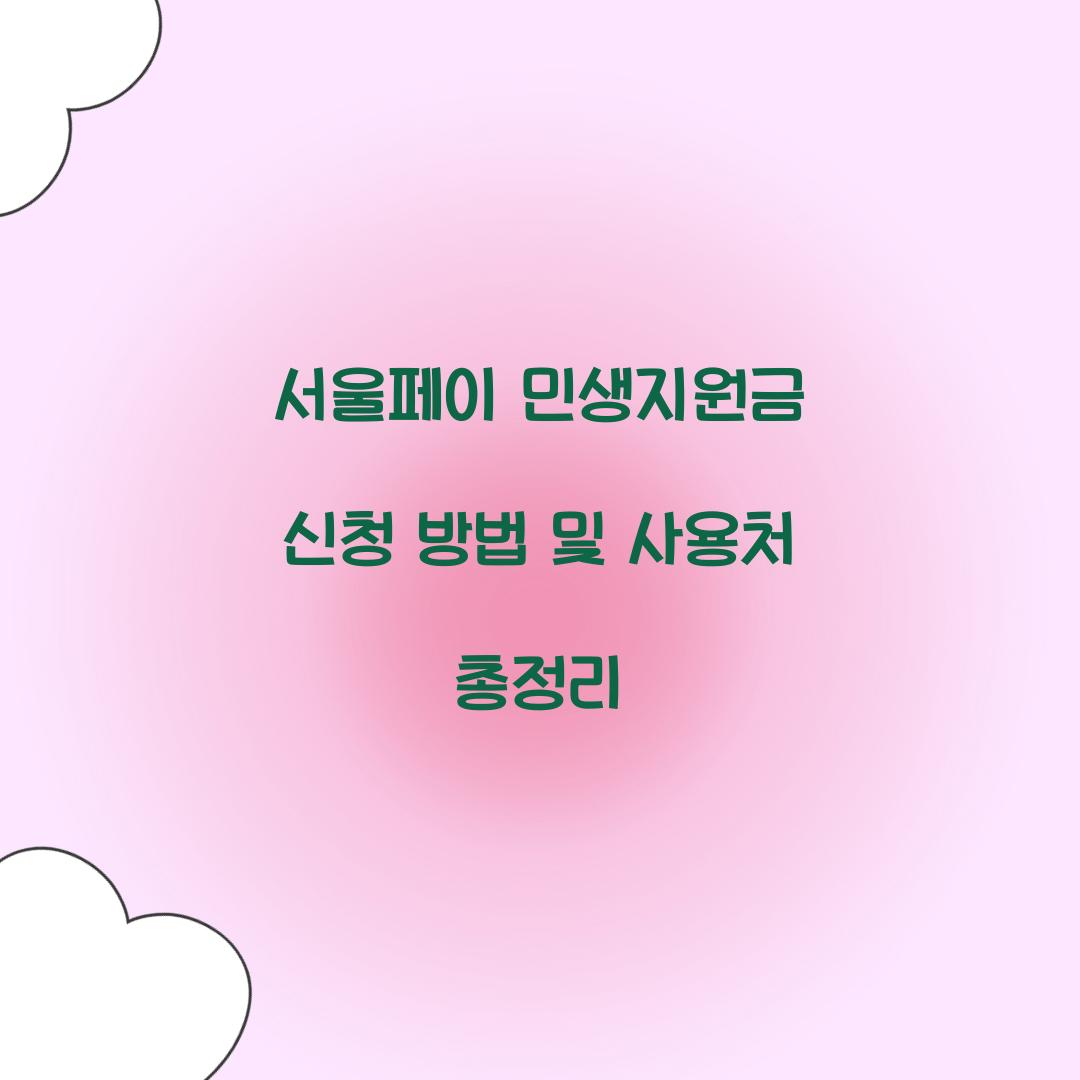 서울페이 민생지원금