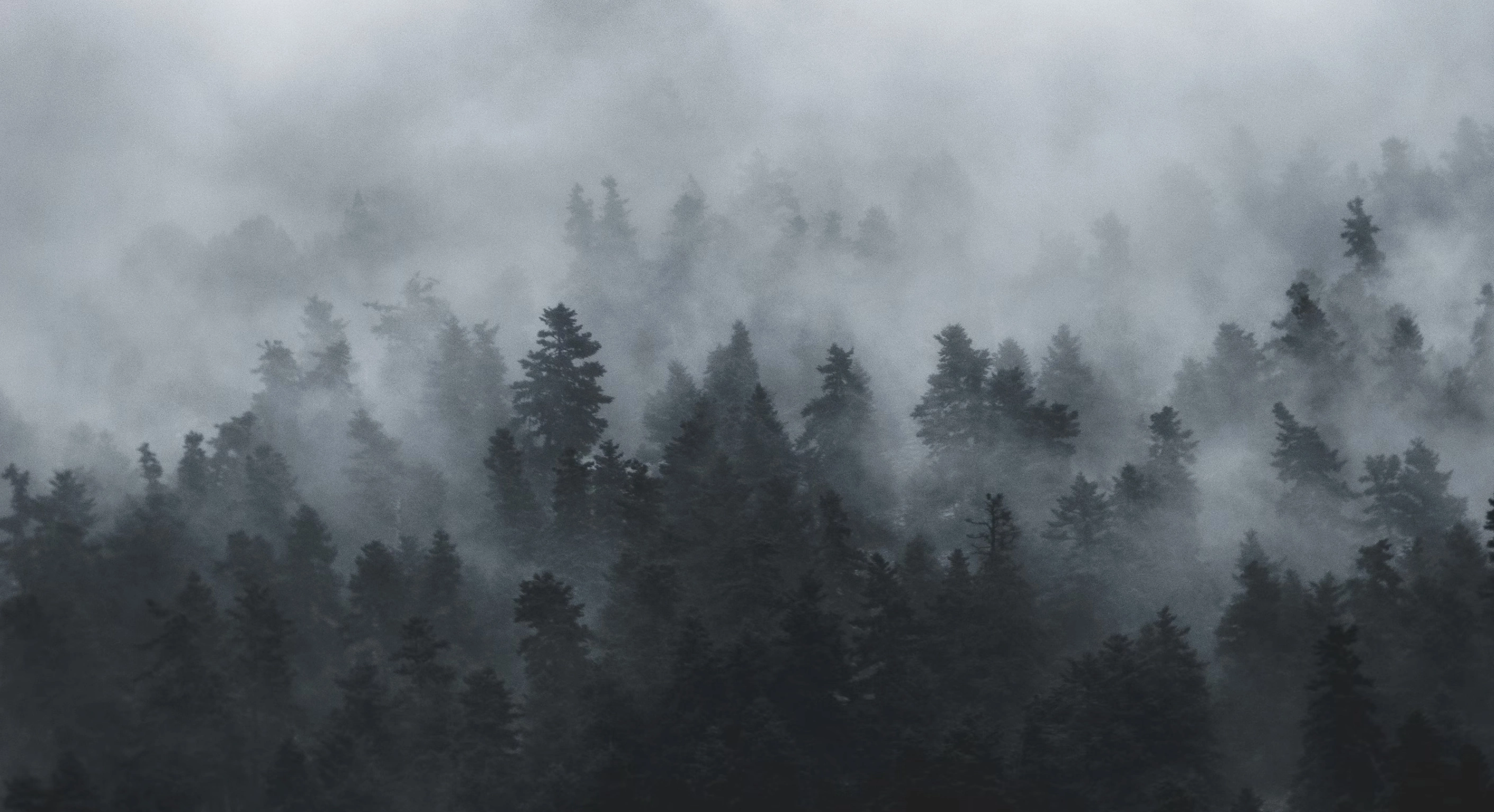 전등사 템플스테이 예약