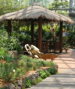 우리꽃식물원 6일간 무료 개방