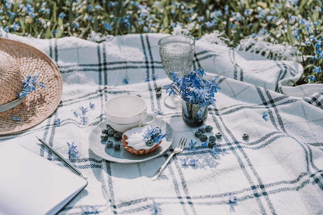 Picnic