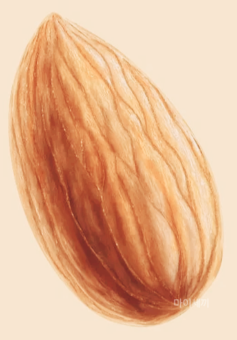 아몬드 불포화지방산