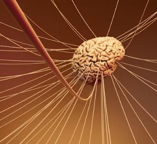 뇌졸중 전조증상 5가지 예방법 원인