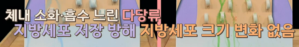 bnr17유산균 효능